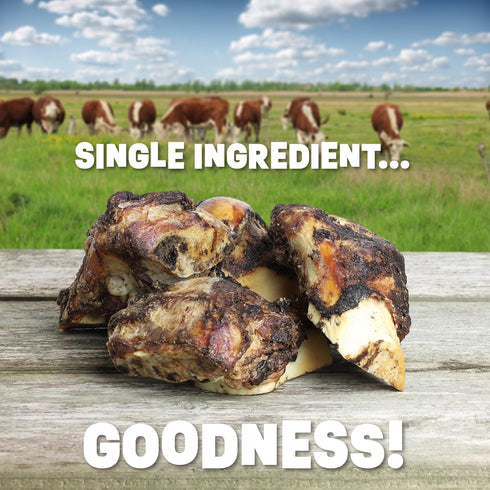 Single Ingredient Dog Bones, 8 Piece Pack - Made in USA Beef Femur Bones for Aggressive Chewers