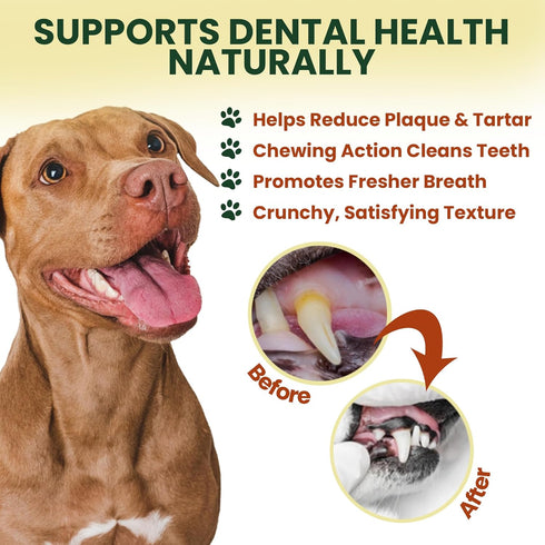 12 Pack 12 Inch 100% Bully Sticks for Dogs Beef Pizzle, Single Ingredient Rawhide-Free Dental Chews, Long Lasting