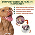 12 Pack 12 Inch 100% Bully Sticks for Dogs Beef Pizzle, Single Ingredient Rawhide-Free Dental Chews, Long Lasting