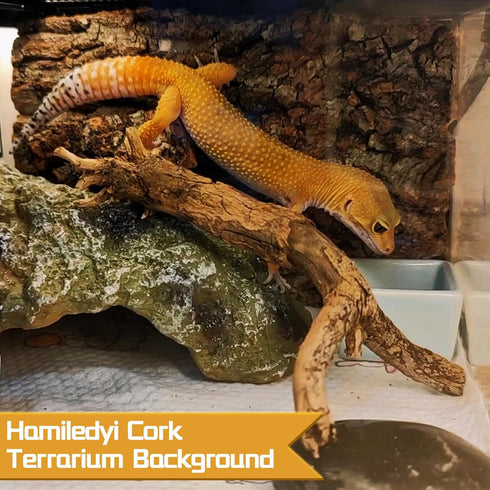 Cork Terrarium Background 15.7x11.8in Natural Large Cork Bark Backdrop for Reptile Habitat Decor (6PCS)