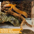 Cork Terrarium Background 15.7x11.8in Natural Large Cork Bark Backdrop for Reptile Habitat Decor (6PCS)