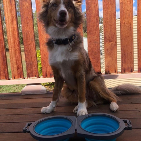 Travel Double Diner Dog Bowl, Loving Pets 73807991, Blue Sm