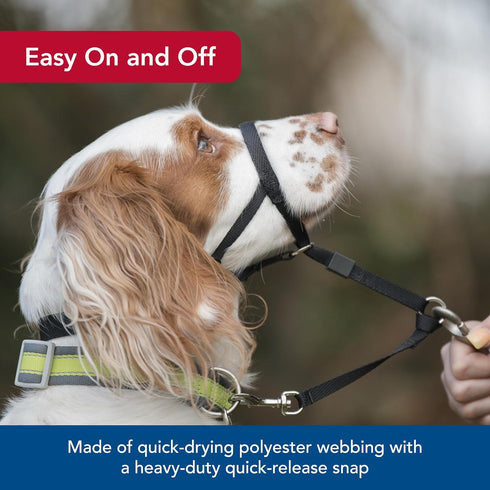 Coastal Pet Walk 'n Train Dog Head Halter, No-Pull Harness, Black, XLarge