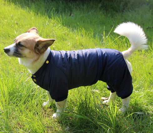 Fleece Lined Dog Coat with Detachable Hood and Hind Legs, Warm Puppy Jacket for Winter (Blue XXL)