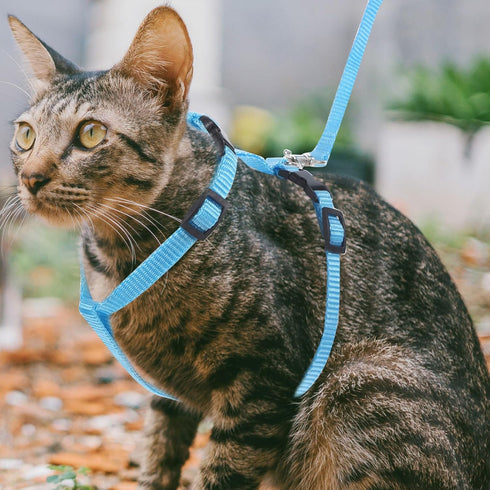 Adjustable Pet Rabbit Harness - Nylon Bunny Harness and Leash for Walking, Running, Outdoor (Blue) Medium