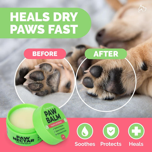 Natural Lick Safe Dog Paw Balm - 100% Organic Moisturizer & Soother for Dry Cracked Paws, 2oz