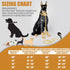 Dog Chain Collar with Quick Release Buckle, 18K Gold Chain Collar for Dogs (15MM, 16")