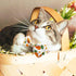Easter Day Dog Collar with Bow Tie - Holiday Bunny Carrot Collar for Small Medium Large Dogs (Hoppy Hour/Pink, Medium)