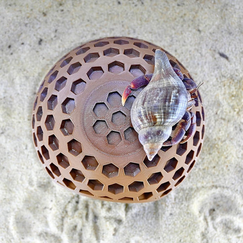 Lucky Critter Hermit Crab Climbing Coconut Hideout Hut | Hermit Crab Climb Tank Decor Cave | Hideaway Habitat Hide