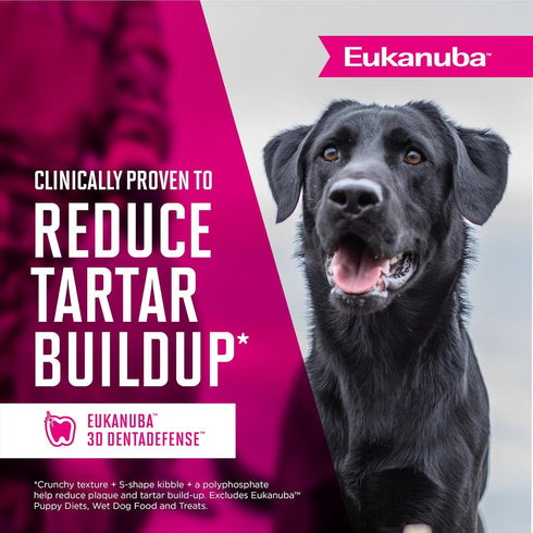 Eukanuba Senior Small Breed Dry Dog Food, 5 lb