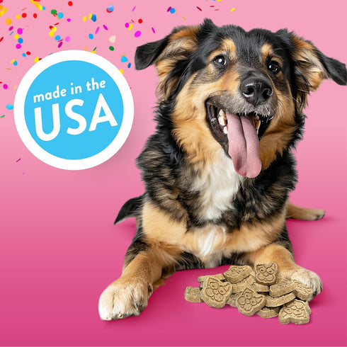 Spunky Pup Birthday Bites, Crunchy Biscuit Treats, Peanut Butter, 10 oz