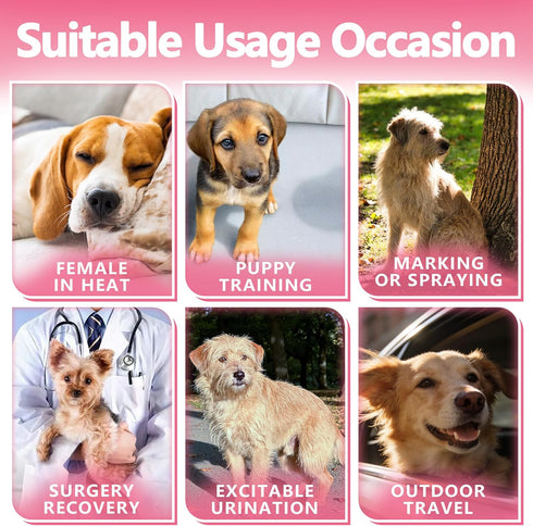 MCJAOHJG Diapers,100 Count,Small,Super Female Dog Diapers,Disposable Dog Absorbent Leak-Proof Diapers for Dogs