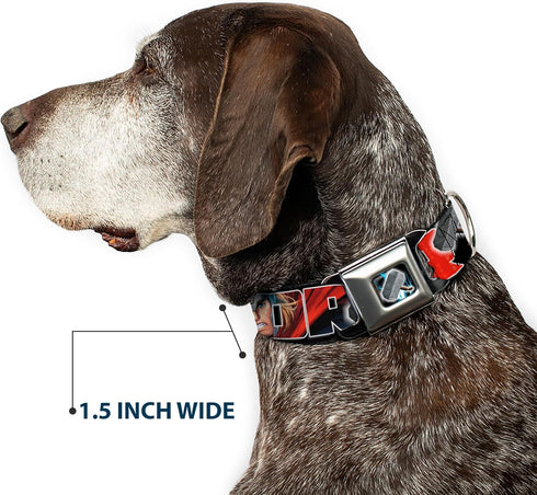 Dog Collar Seatbelt Buckle, Thor Poses Hammer, 11 to 17 Inches, 1.0 Inch Wide