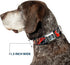 Dog Collar Seatbelt Buckle, Thor Poses Hammer, 11 to 17 Inches, 1.0 Inch Wide