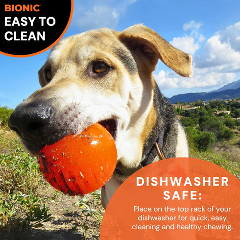 BIONIC Ball Dog Toy - Large Interactive Chew Toy for Tough Chewers, for Dogs 30-60+ lbs (13-27+ kg)