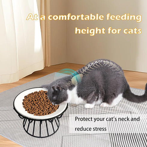 Ceramic Cat Bowls with Metal Stand, 2 Pack Elevated Shallow Dish for Indoor Cats, Puppies, Small Dogs