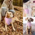 Wedding Dog Bandana Best Friend of Bride Dog Bandana Engagement Wedding Announcement Dog Bandanas Puppy Bandana