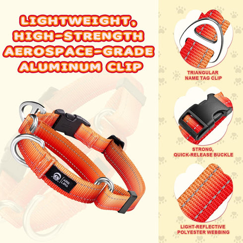 Martingale Dog Collar Light-reflective Polyester Collars for Dogs Whippets, Greyhounds, Saluki, American Bully, No-pull No-escape Safety Training Heavy Duty Adjustable Collars -S Orange