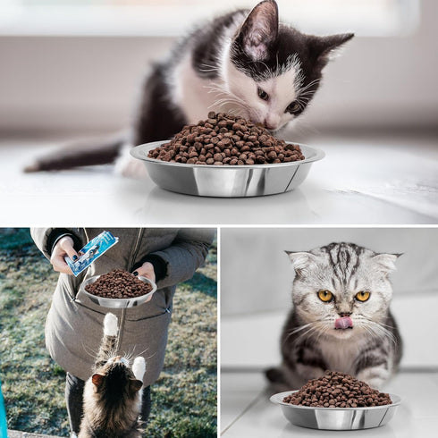 HUOIQUE 10 Pcs Stainless Steel Cat Bowls, 6.2 Inches Whisker Fatigue Cat Dishes for Food and Water