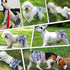 3 Pack NOYAL Washable Dog Diapers Female Reusable High Absorbency Leak-Proof Rose Pattern Doggie Diapers