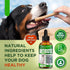 Natural Antibiotics for Dogs, Supports Dog Allergy Relief, Itch Relief, Multivitamin, Pet Antibiotics, 2 Oz