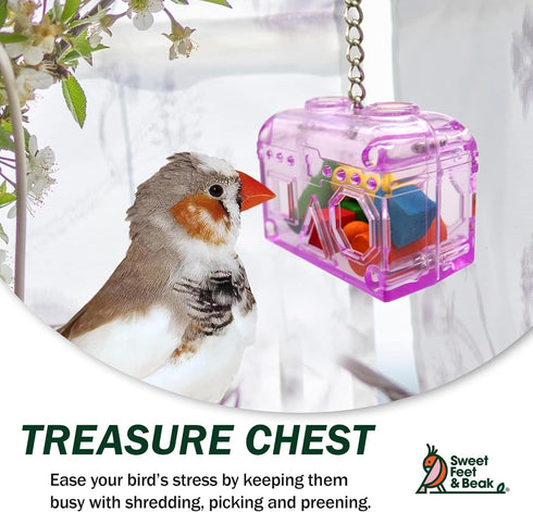 Large or Small Treasure Chest, Perfect Bird Cage Toy, Colorful, Safe, Easy to Install