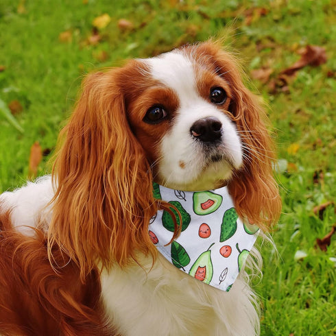 72 Packs Summer Dog Bandanas Bulk Buffalo Plaid Cat Bandana Scarf Triangle Fruit Drool Bibs Washable Adjustable