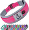 Joytale Neoprene Padded Dog Collars for Medium Dogs, 11 Colors, Reflective Wide Durable Metal Buckle, Hotpink