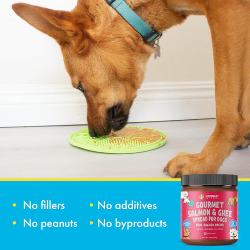 Visionary Pet Foods Tasty Spread for Dogs - Salmon Recipe - Healthy Dog Treat - Dog Treat Pouch - 10oz Jar