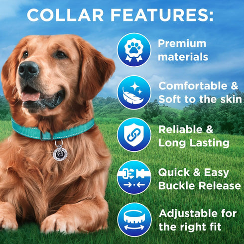 TECEUM Reflective Basic Nylon Pet Collar, Quick Release Buckle, Teal, S, for Small, Medium, Large Dogs, Cats