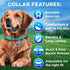 TECEUM Reflective Basic Nylon Pet Collar, Quick Release Buckle, Teal, S, for Small, Medium, Large Dogs, Cats