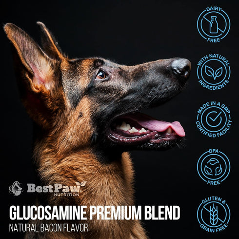 16 oz Best Paw Nutrition Liquid Glucosamine for Cats - Glucosamine Chondroitin MSM & Hyaluronic Acid Joint Supplement
