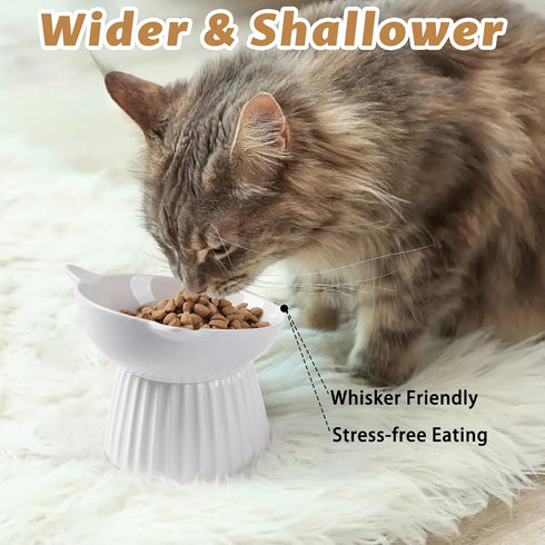 Ceramic Raised Cat Bowl, Tilted Anti Vomit Feeder for Indoor Cats, Whisker Friendly, Microwave and Dishwasher Safe