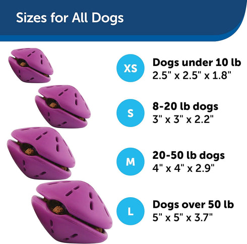 PetSafe Busy Buddy Twist 'n Treat Dispensing Dog Toy - Large Size
