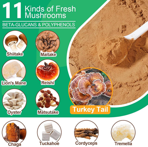 IRSRDOQU 11 Immune 120g Mushroom Supplement Powder for Dogs & Cats, Beneficial Mushroom Complex for Support, Cellular