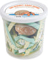 Store 1 1 Live Hermit Crab Shipped Now-with Premium Hermit Crab Shells: Land Crabs with Extra Shell from Nature Gift