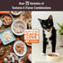Wellness CORE+ Hairball Grain-Free High Protein Adult Dry Cat Food, Chicken and Chicken Meal Recipe, 4.75 Pound Bag