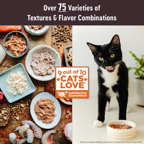Wellness CORE Tiny Tasters Wet Cat Food Topper, Grain Free, Complete & Balanced Nutrition, 12 Pack (Seafood Variety)