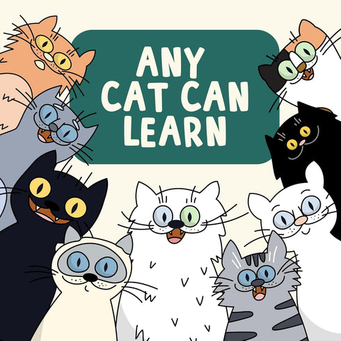 Communication OutdoorBengal The Click Crusade Cat Clicker Training Card Game for Pet Training with Clicker - Train Cats
