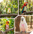HJZHII 5 Pcs Bird Diaper, Parrot Nappy with Waterproof Inner Cute Parrot Pants Reusable Cockatiel Clothes Flight Suit