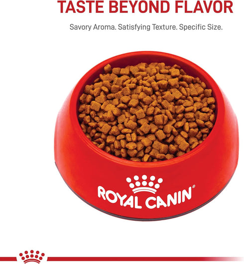 Royal Canin Feline Health Nutrition Mother & Babycat Dry Cat Food for Newborn Kittens and Pregnant or Nursing Cats, 6