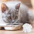 AUEAR 20 Pack Dye Free Cat Crinkle Balls 2" Mylar Sounds Shiny Glitter for Cats