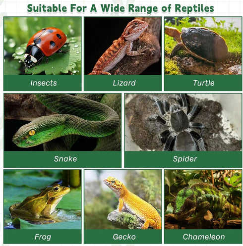 kathson Stainless Steel Reptile Tweezers Bug Feeding Clamp for Insects, Lizard, Turtle, Snake, Spider, Frog