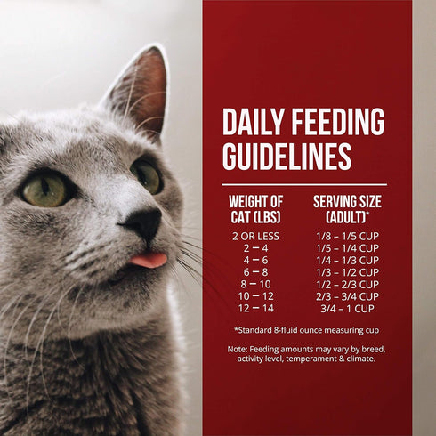 Fussie Cat Market Fresh Chicken & Turkey Meal Formula, Grain-Free Dry Cat Food, 4lb
