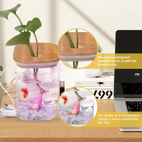 Mini Betta Fish Tank with LED Light, USB Powered Decorative Aquarium for Small Fish Species – Betta, Guppies, Tetras