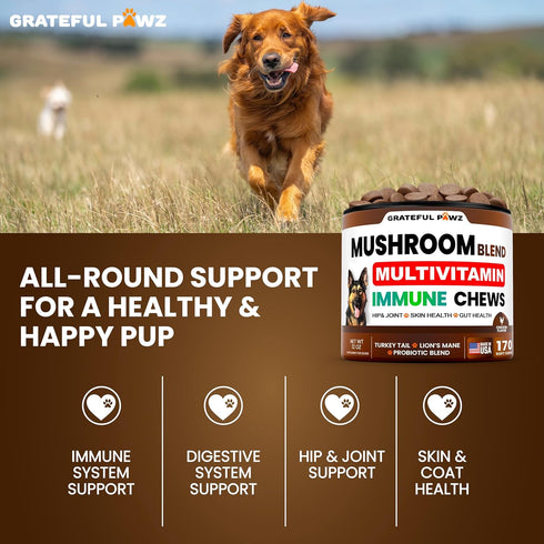 170 Immune Turkey Tail Mushroom Supplement for Dogs - Chews - Mushrooms for Dogs - Reishi, Lions Mane, Glucosamine