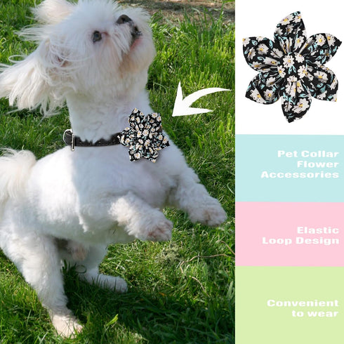 6 Pcs Dog Collar Flowers Accessory, Removable Bow Attachment Floral Embellishment for Small Medium Large Dogs and Cats