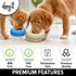 Dogit Dog Bowl Slow Feeder for Wet or Dry Food, Go Slow Anti-Gulping Dish, White, Size S