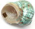PEPPERLONELY 3 Inch 3-1/2 Inch Green Blue Gade Big Turbo Sea Shells, Large Hermit Crab Shells, ~