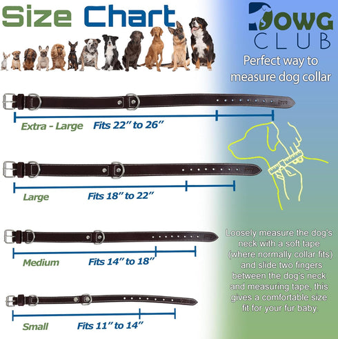 Genuine Leather Dog Collar, Heavy Duty, Adjustable, Ultra Soft, Comfortable, with Double D Rings (L 18”-22”, Rich Black)